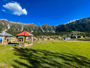 Chopta Bugyal Meadows